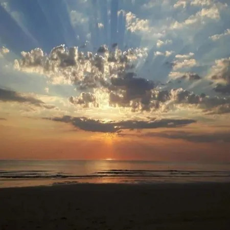 Holiday Home In North Holland Near Beach *